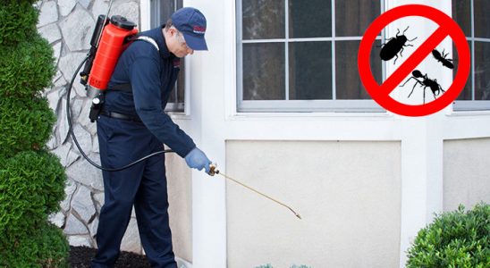 Seben Bit İlaçlama böcek ilaçlama ve haşere kontrolü — ilaclama-tr.com